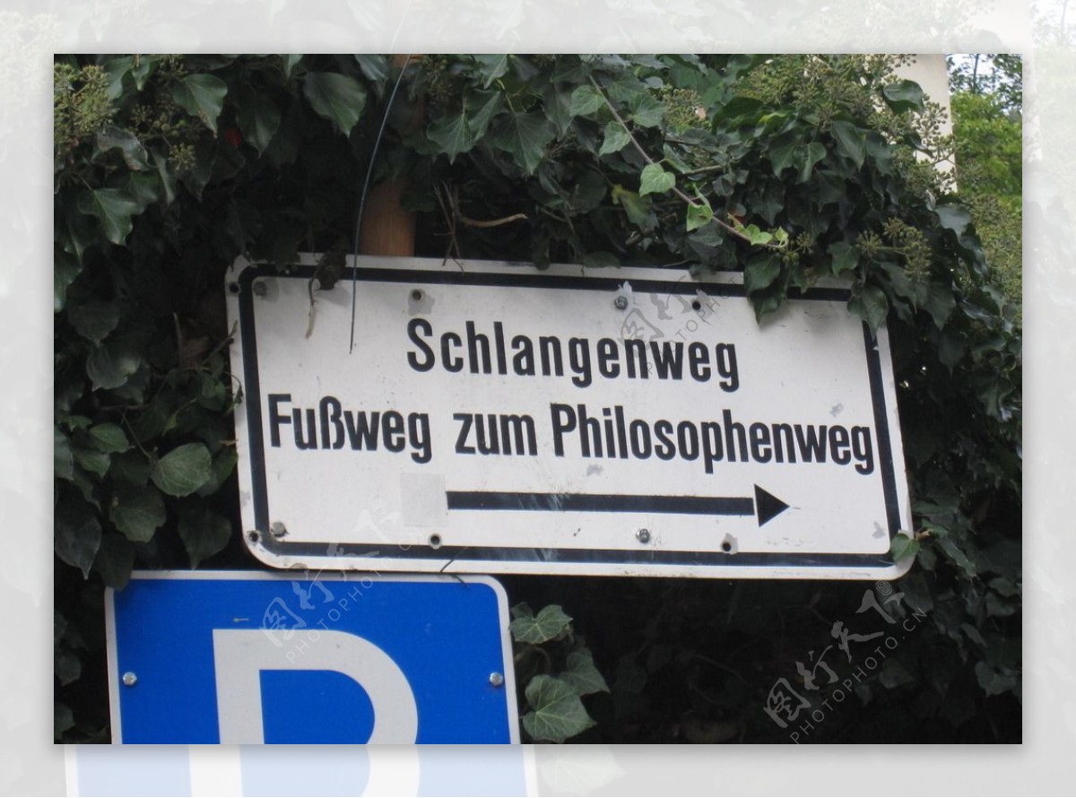 哲学家之路图片