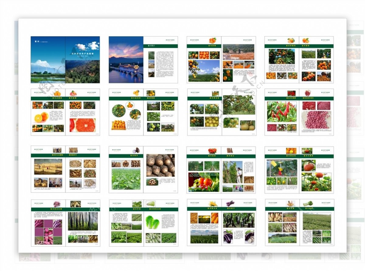 农产品画册图片