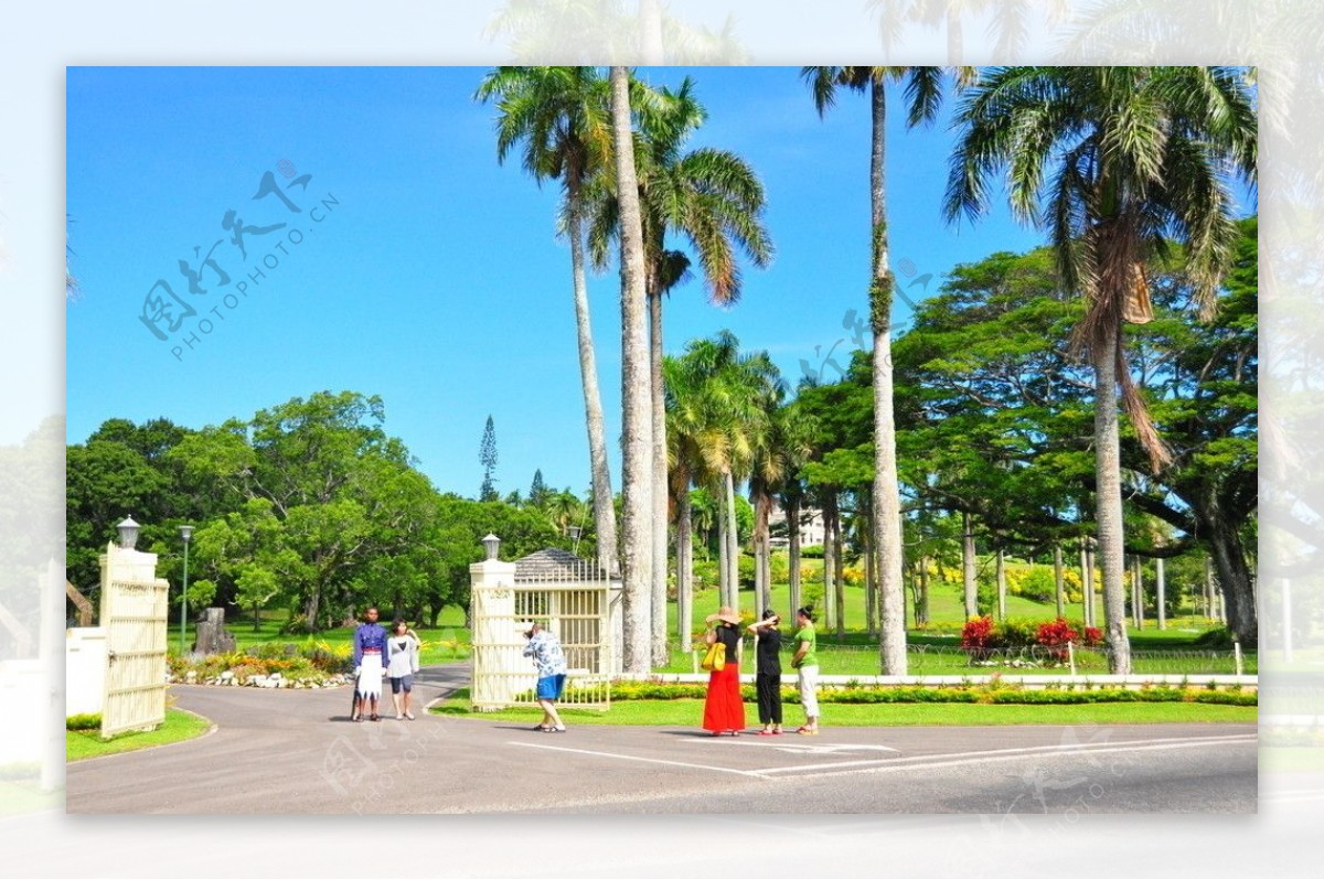 帕劳首都植物园图片