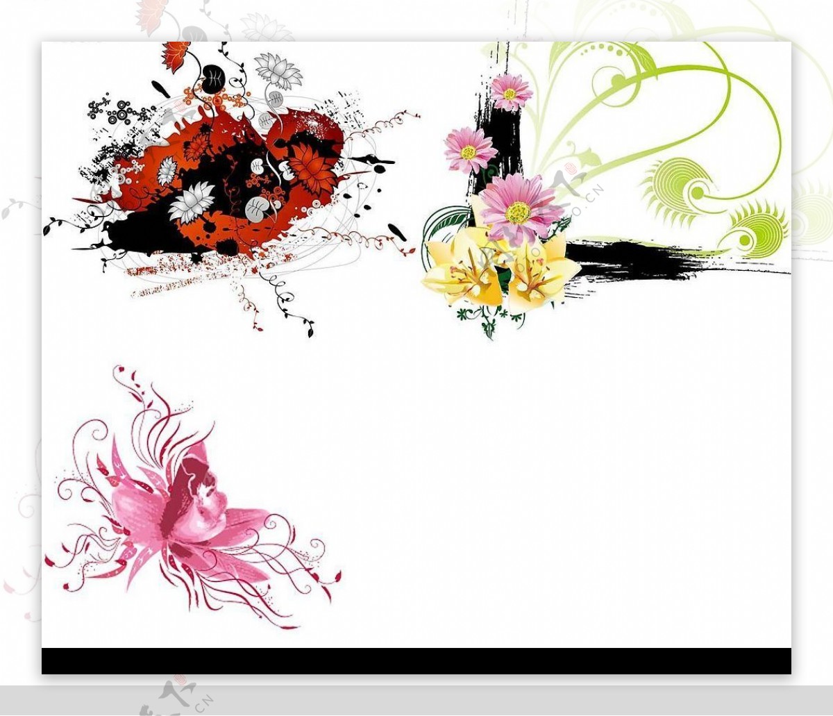 3款不同的花朵矢量素材图片