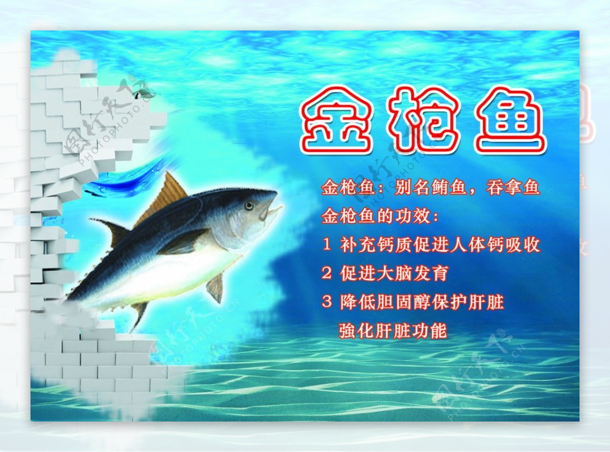 海底金枪鱼海报图片