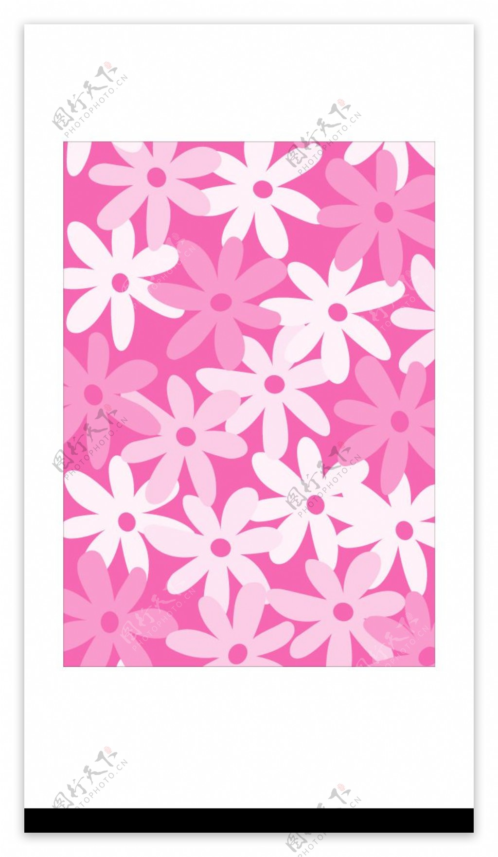 粉红菊花纹图片