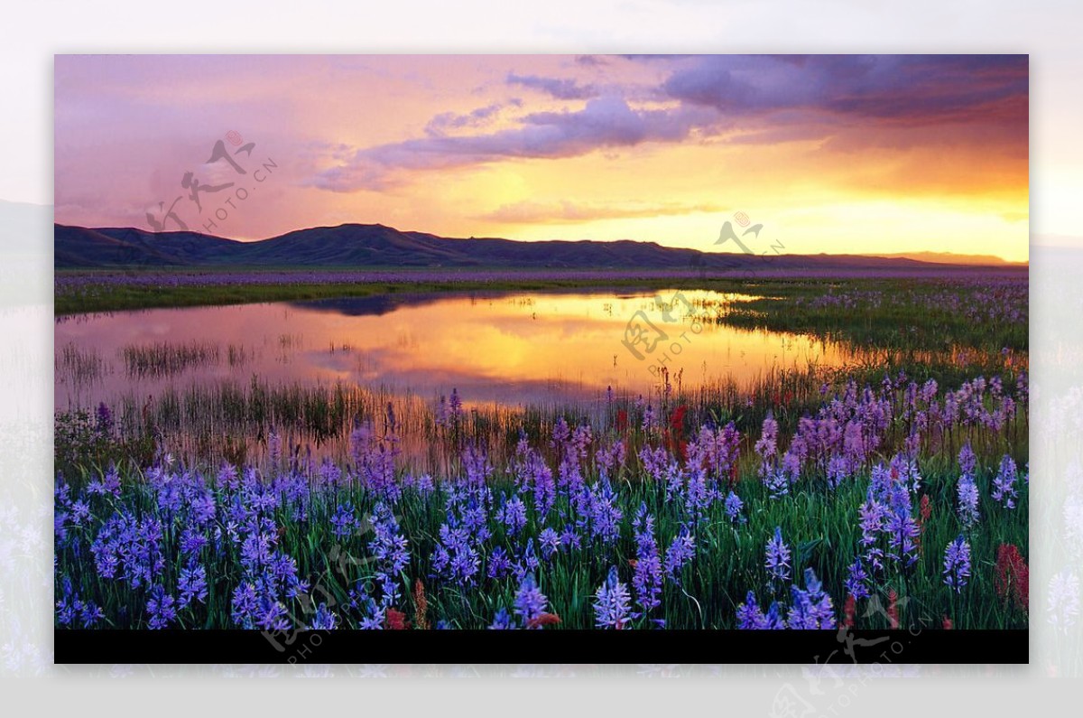 美国爱达荷州草原日落图片
