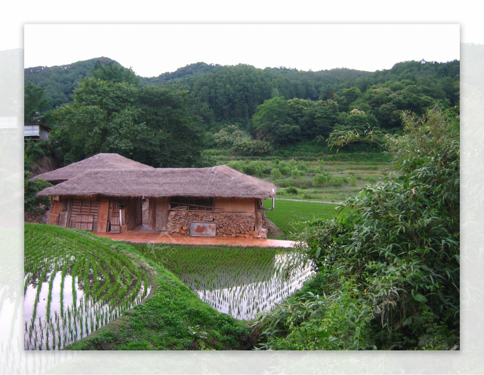 韩国田园风景图片