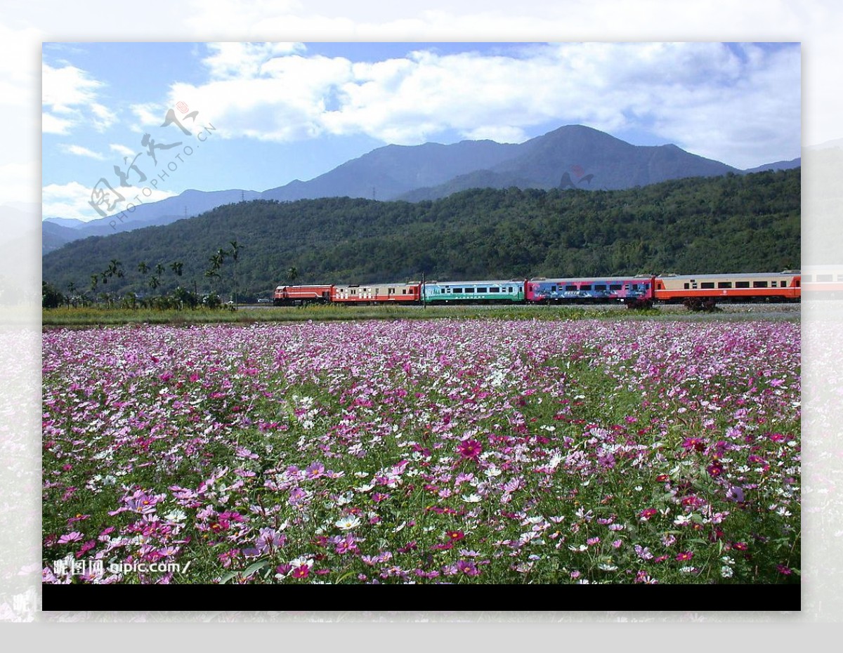 台灣花蓮國際觀光節列車图片