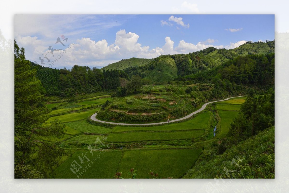 山村希望路图片