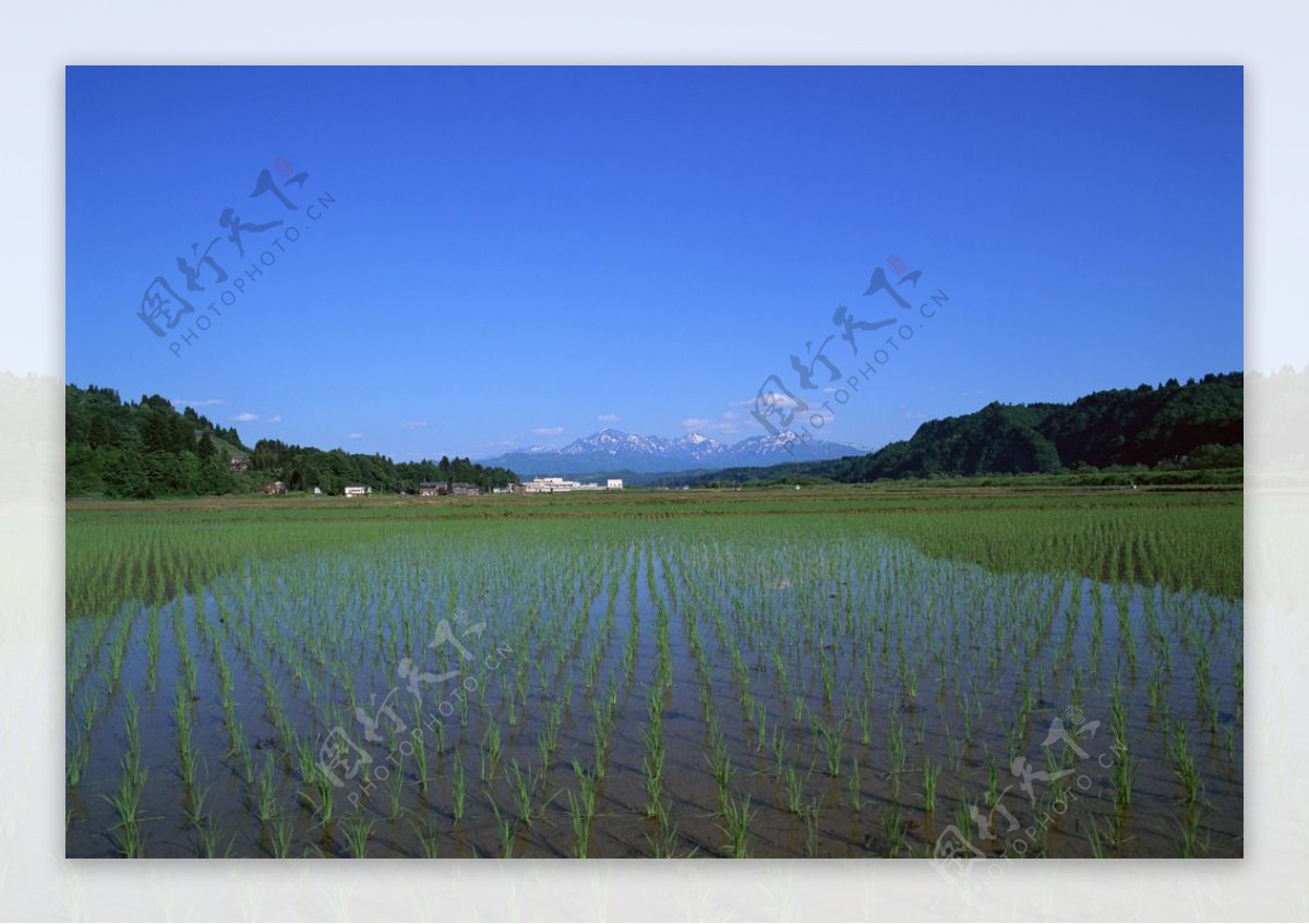 田园风景图片