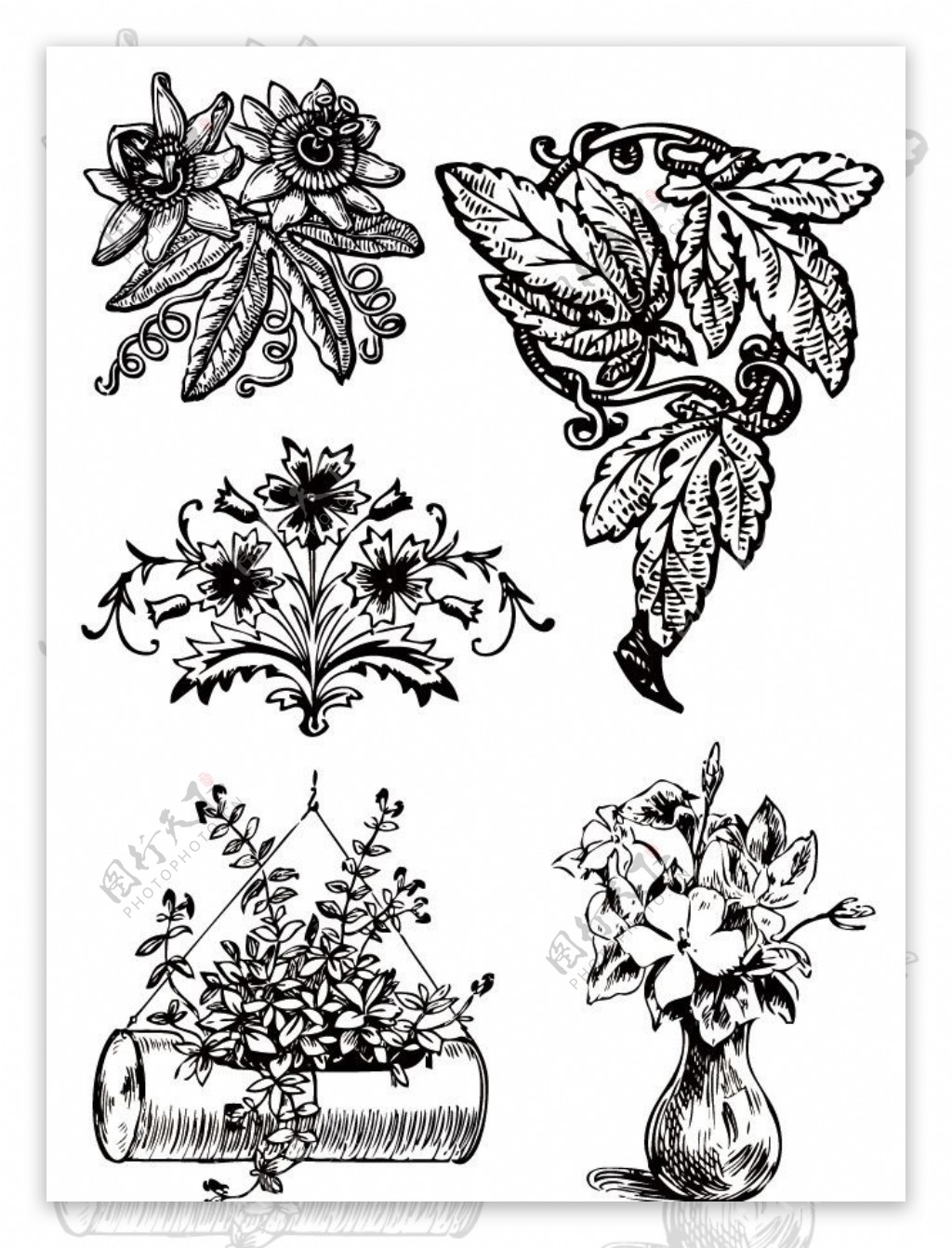 黑白古典花纹花朵花瓶图片