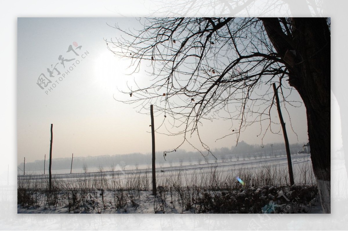 雪景图片