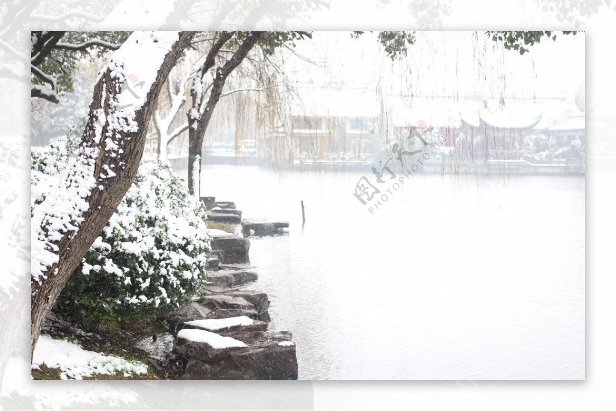 月湖公园雪景树图片