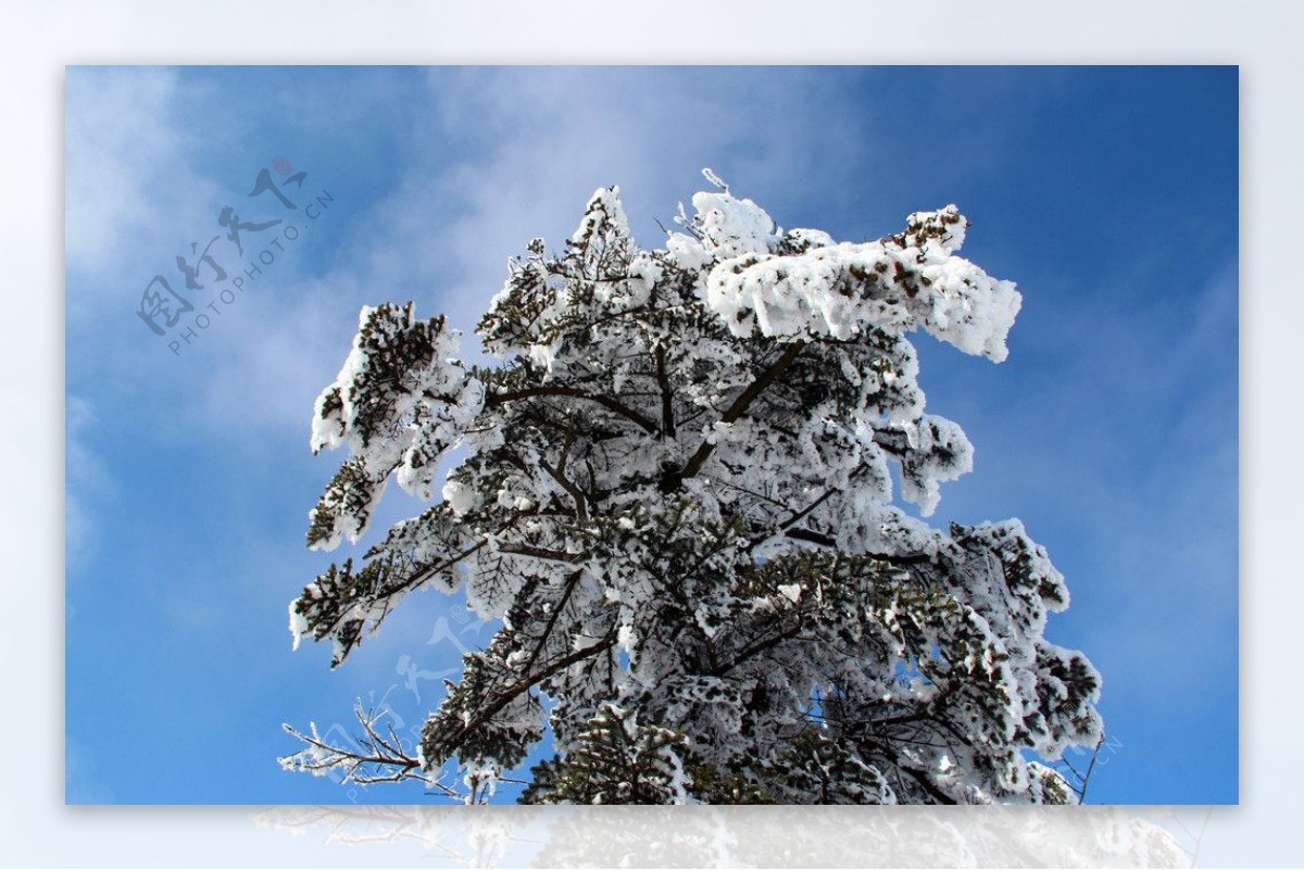 雪景峨眉山图片