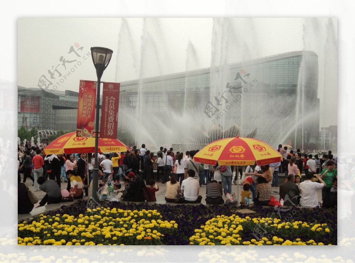 泉城广场风景花图片