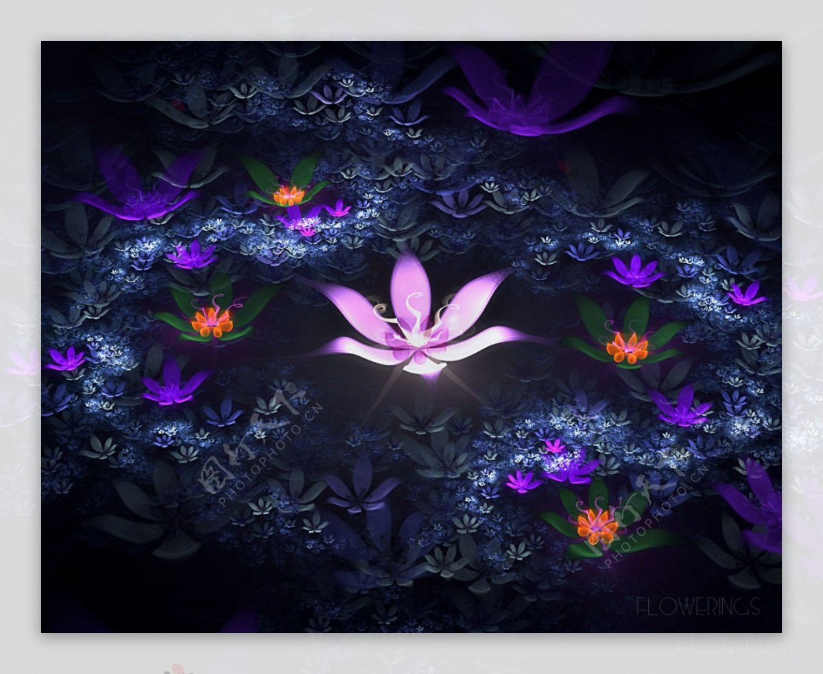 3D梦幻抽象花朵壁纸系列图片