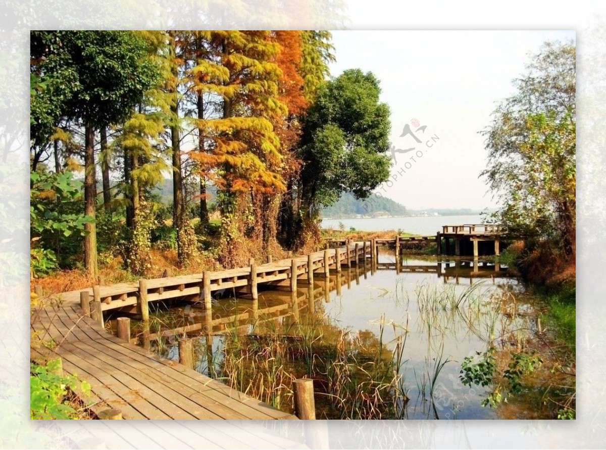 湖边的木栈道图片