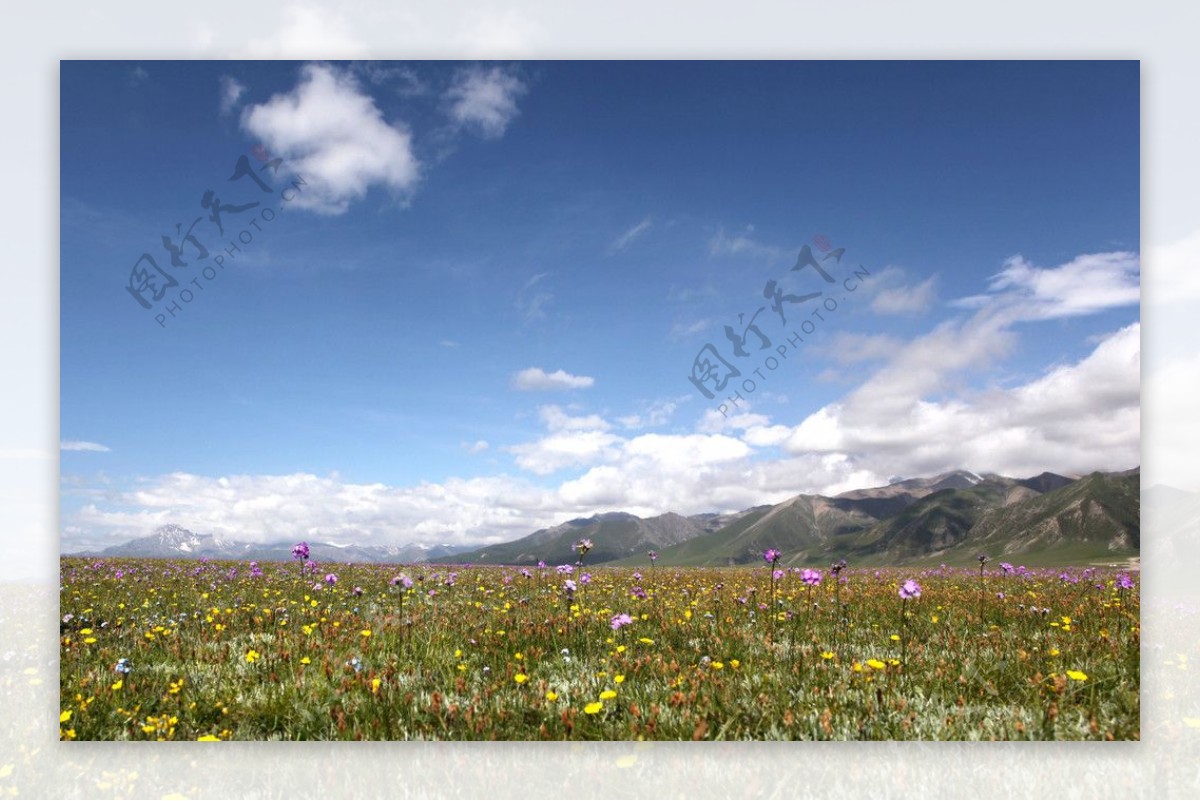 自然风光新疆喀纳斯图片
