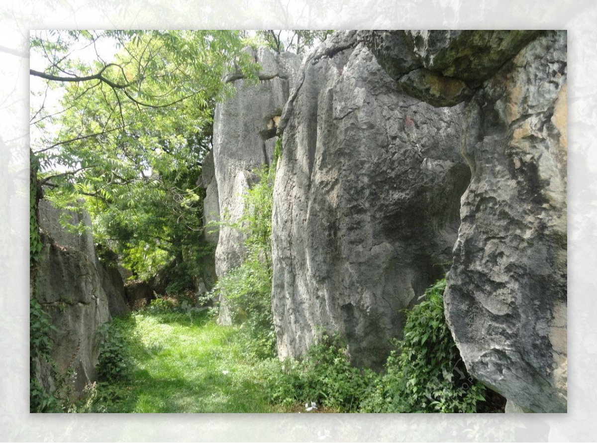 云南石林石头图片