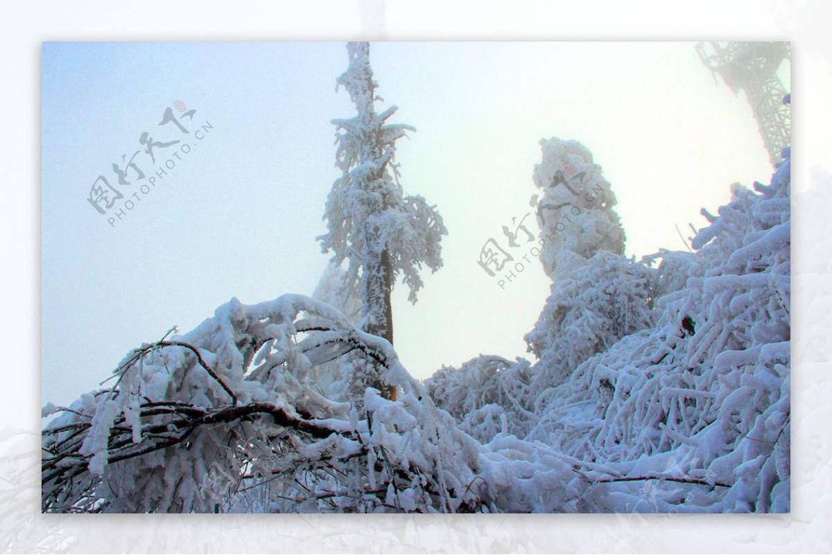 雪景峨眉山图片