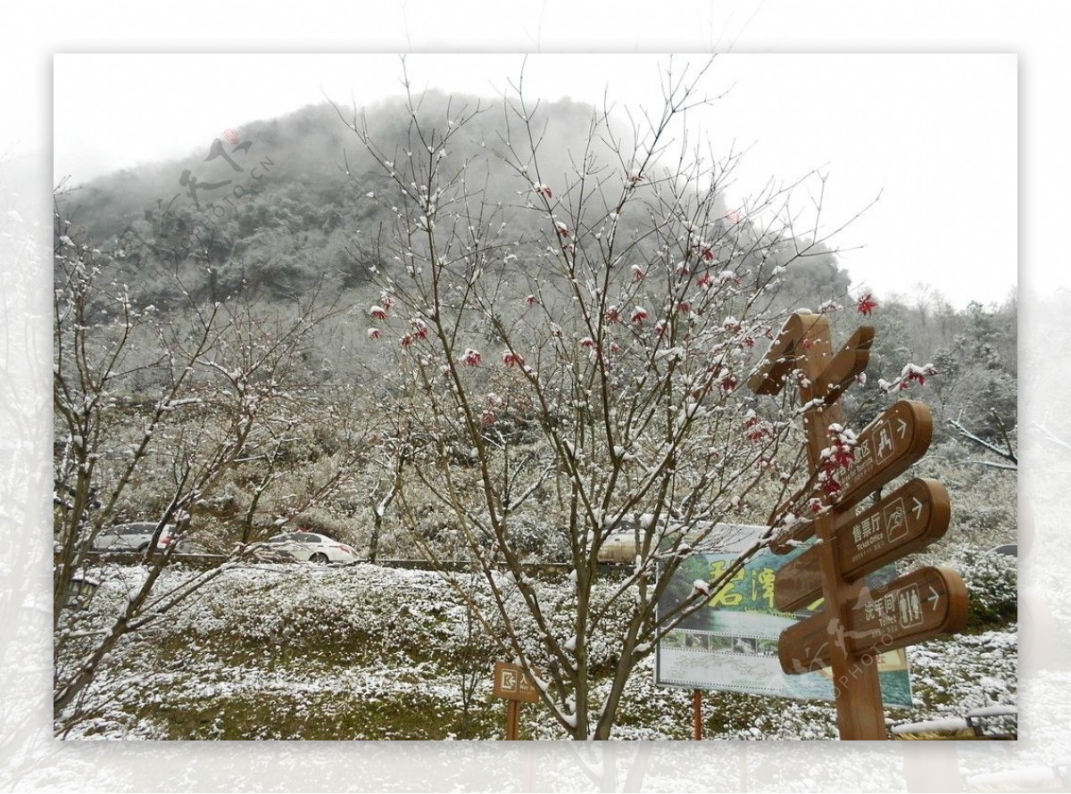 金佛山雪景图片