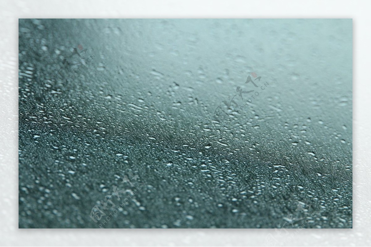 雨天的水珠图片