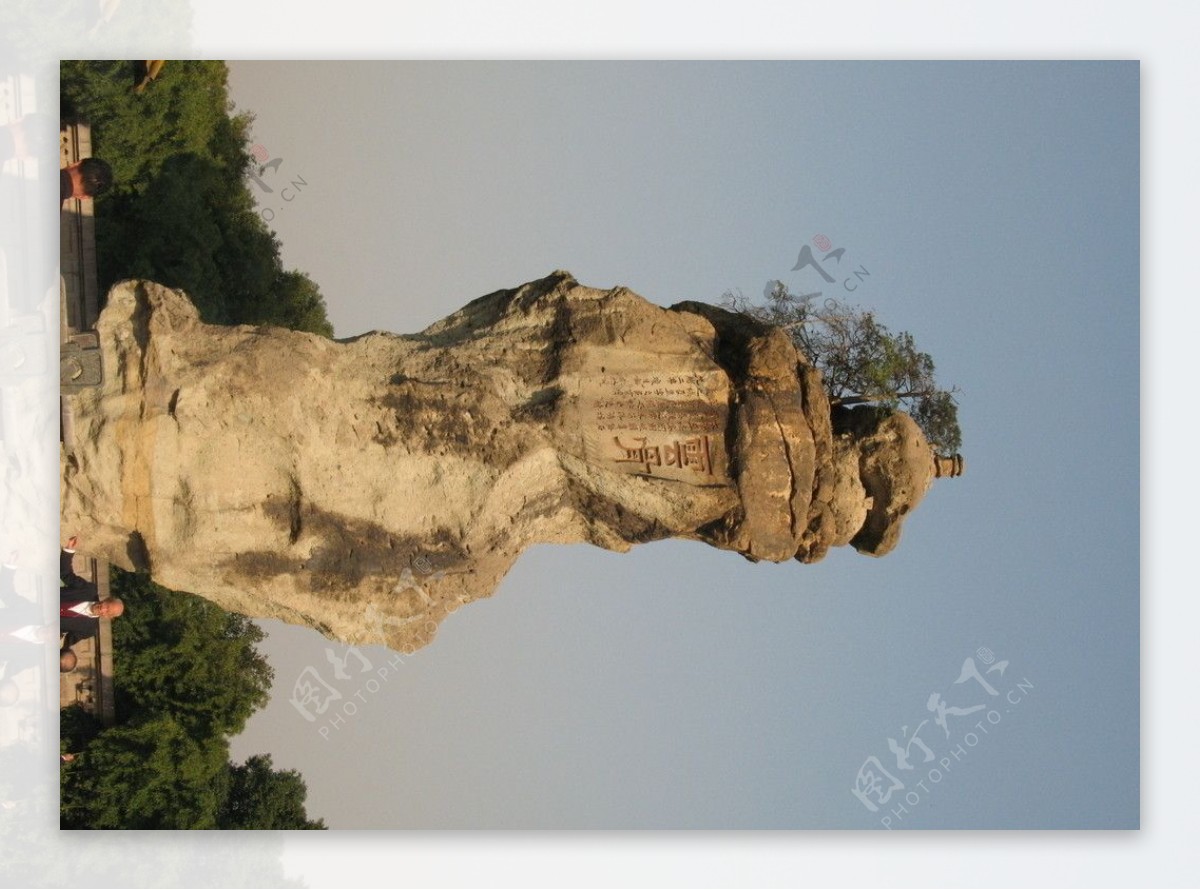 石骨图片