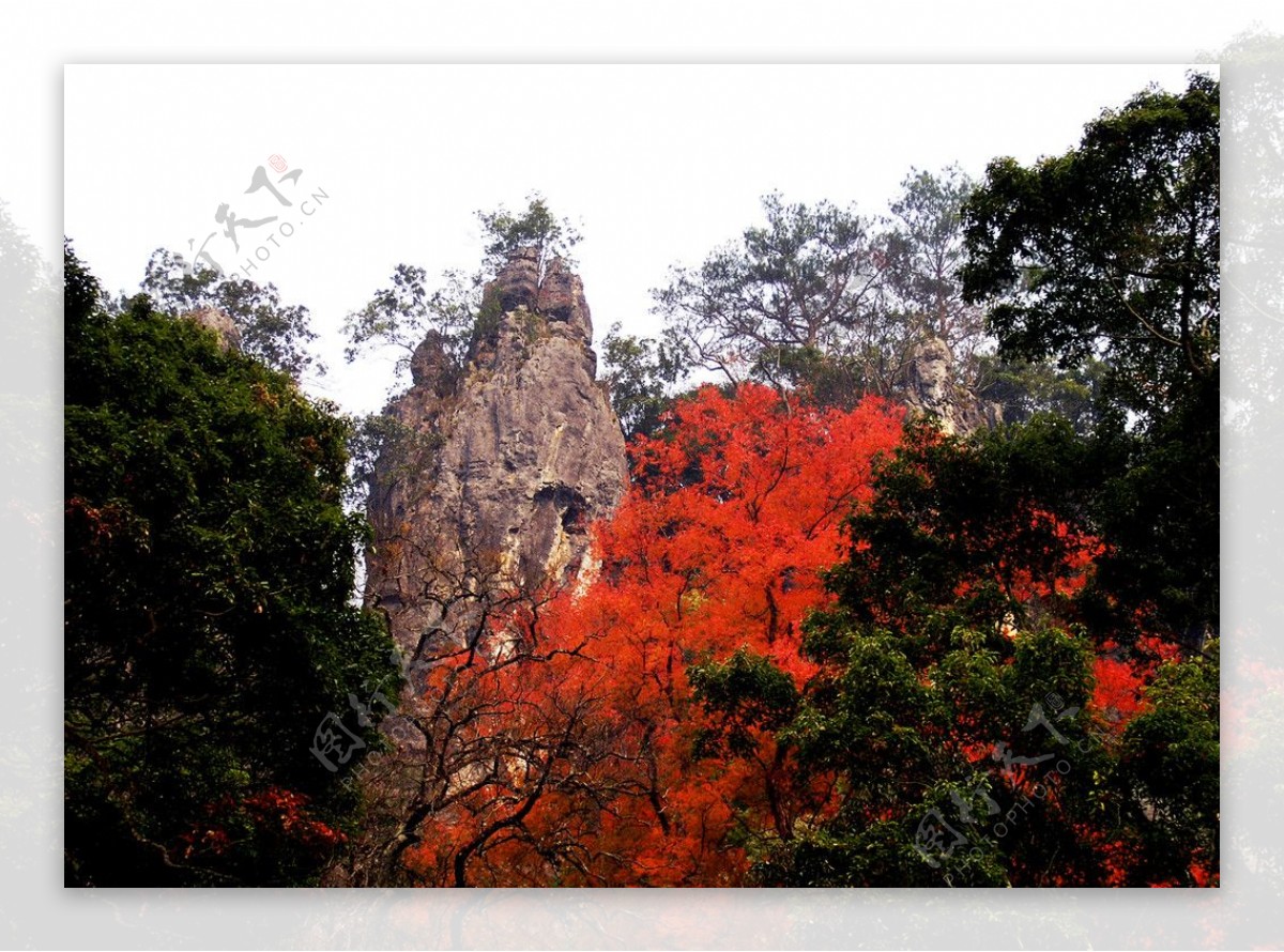 仙人岩秋景图片