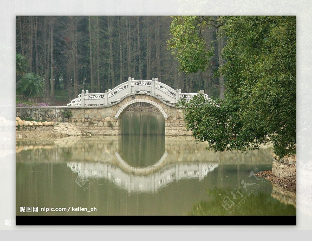 广州植物园拱桥图片