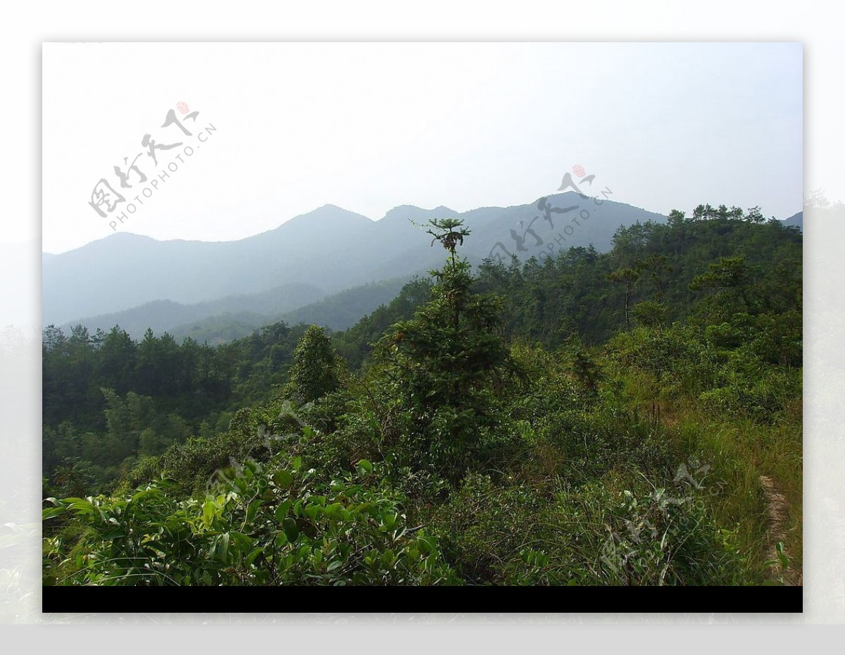 揭西县上砂蜂子岩旅游开发区风景01图片
