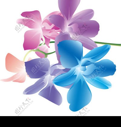 时尚色彩花卉矢量素材图片