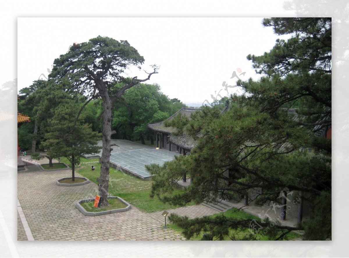沈阳东陵公园图片