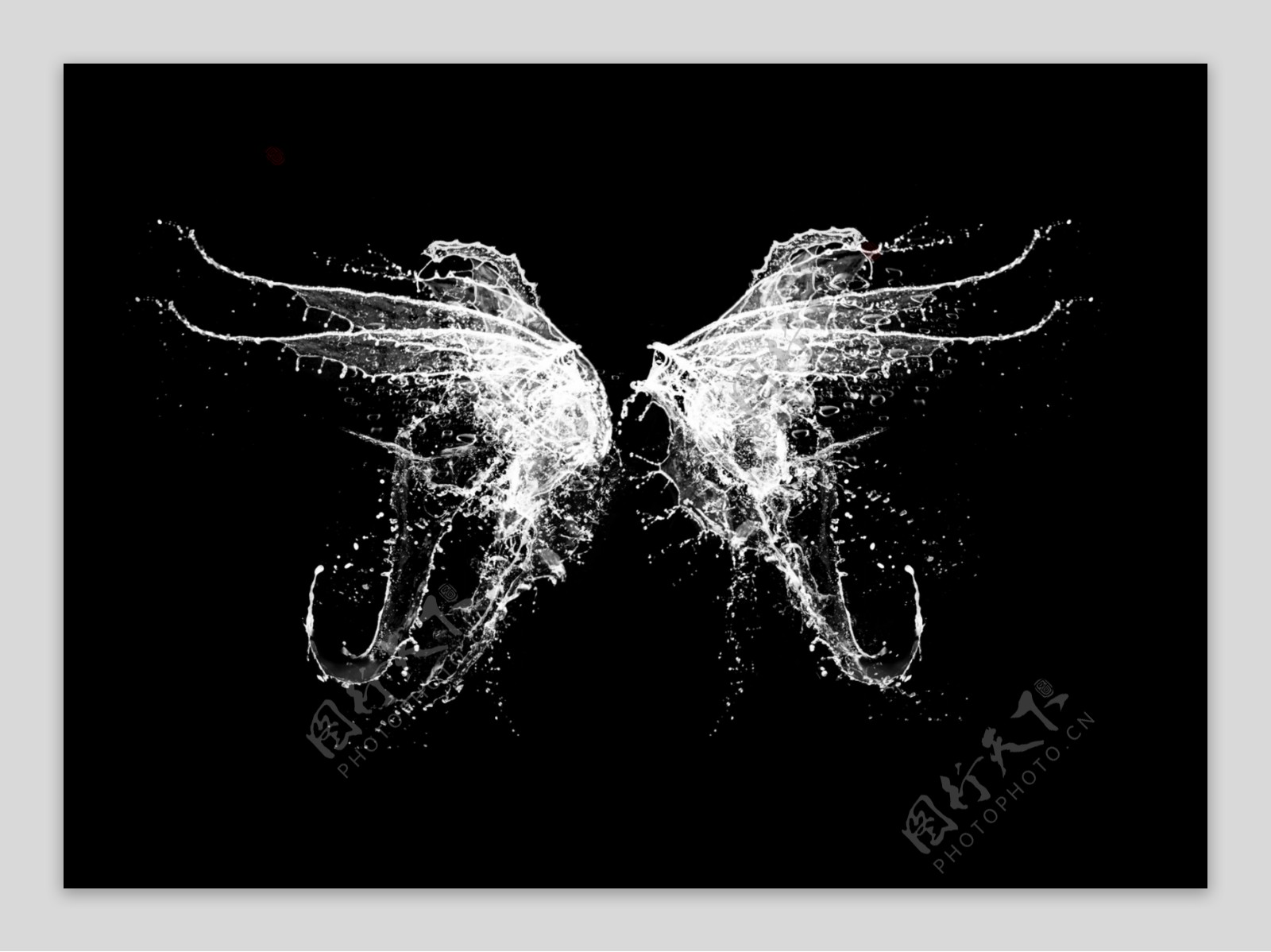 天使的翅膀图片