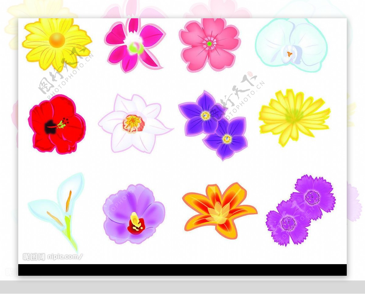 韩国矢量花朵图标图片