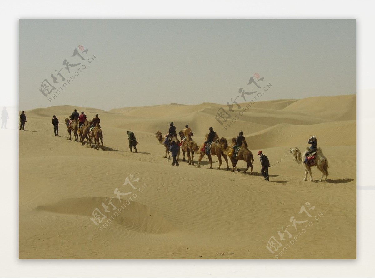 沙漠运输队图片