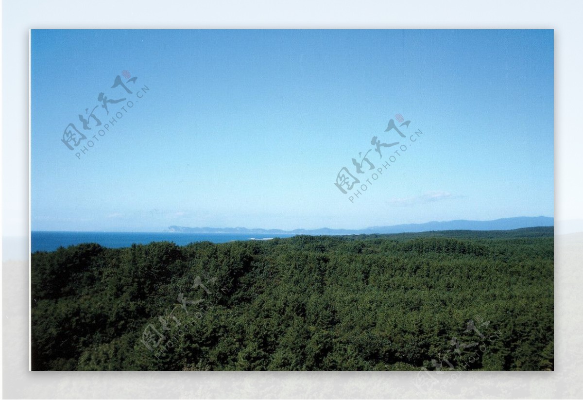 藍天綠色山丘图片