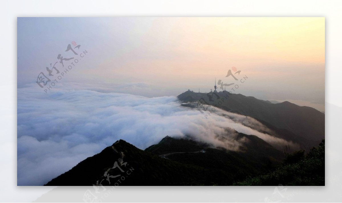 梧桐山雲海图片