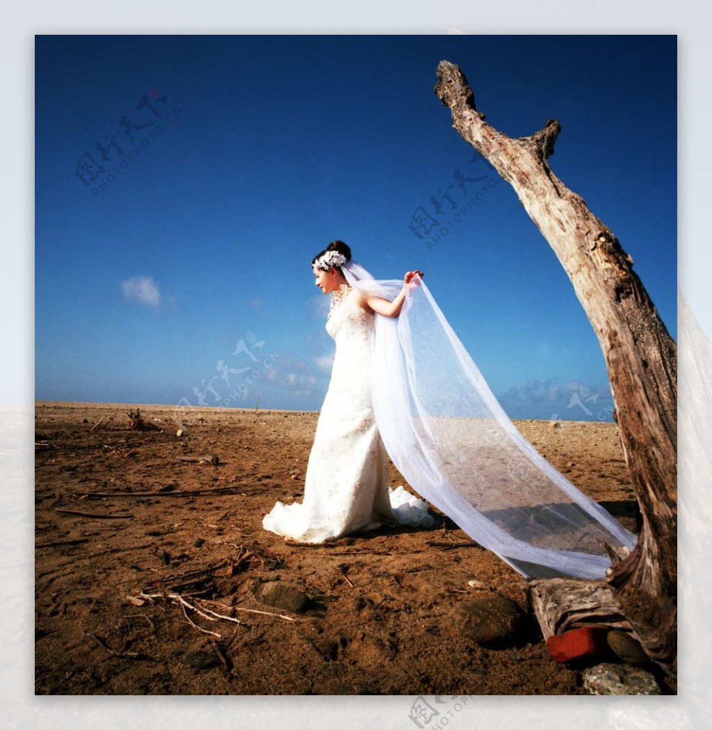 新娘摄影图png素材-新娘摄影图png模板-新娘摄影图png图片免费下载-设图网