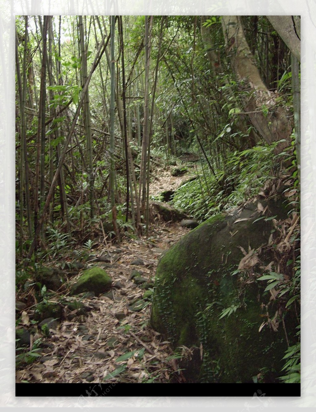 高繞竹生態步道图片