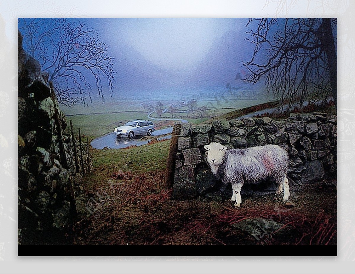 羊与车图片