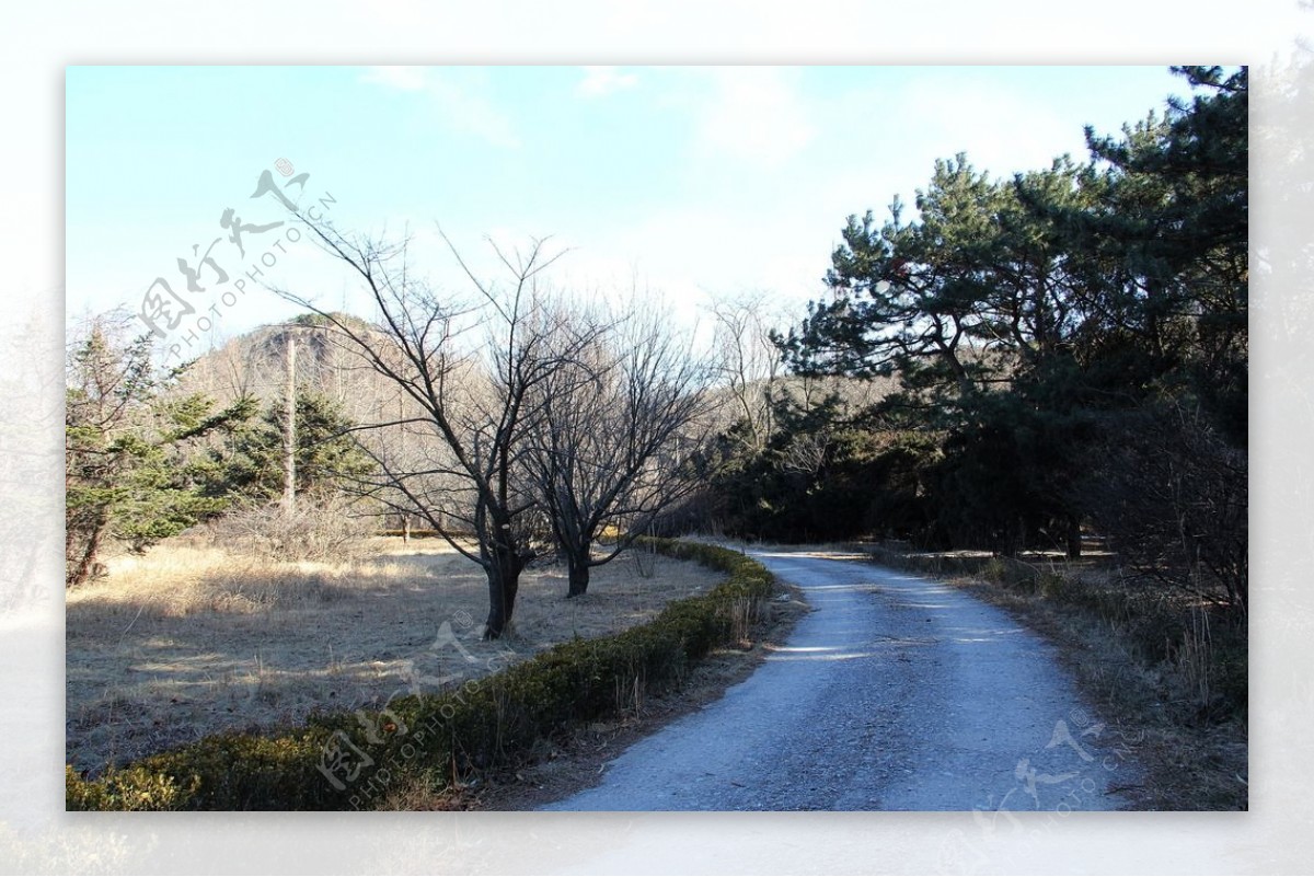 龙湖湿地公园图片