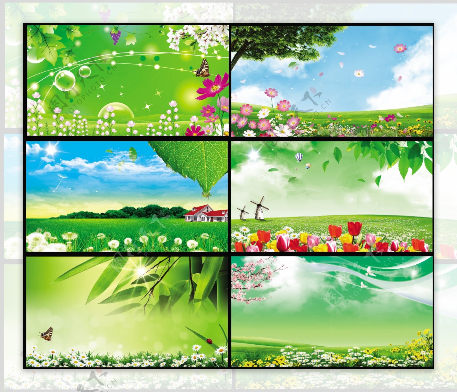 绿色展板春天背景图片