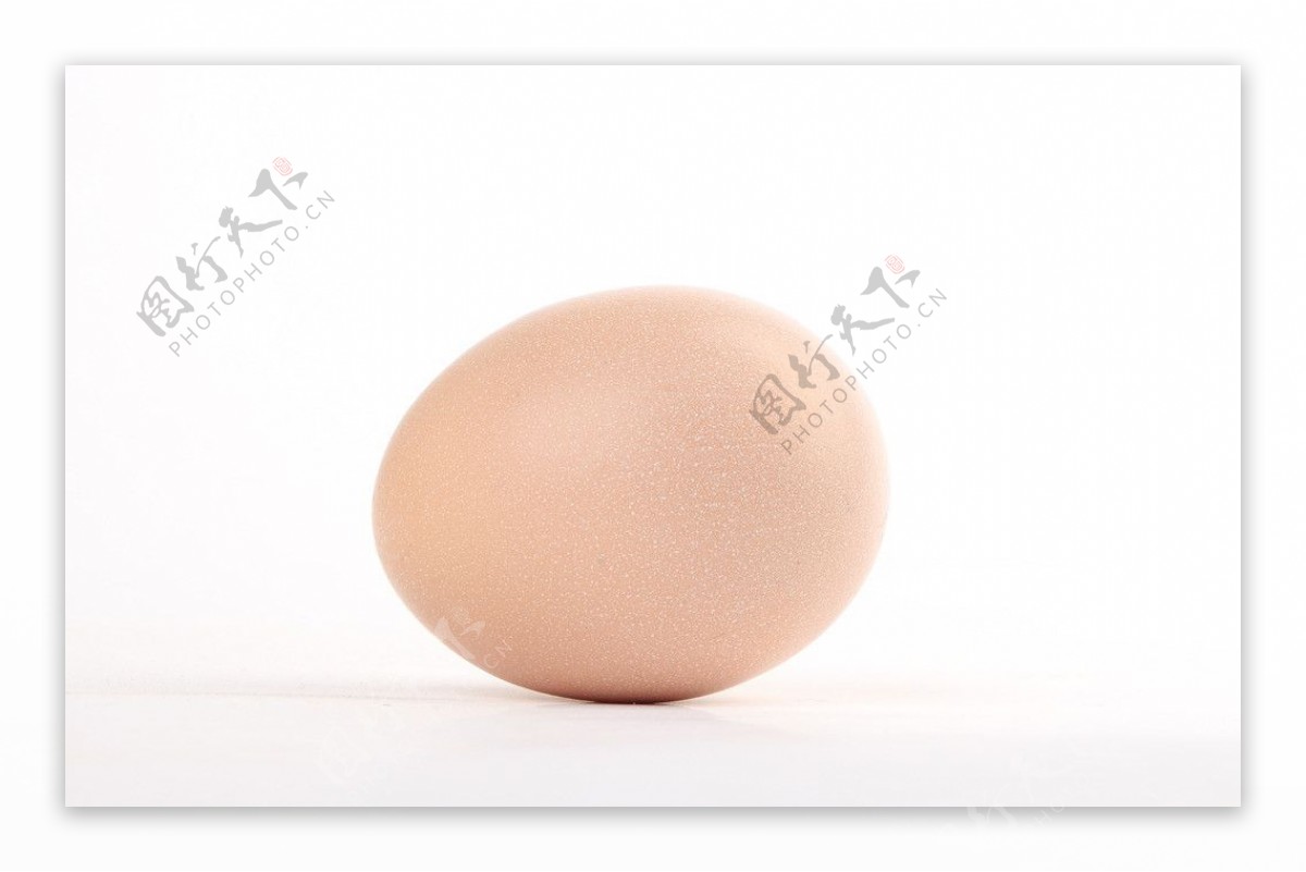 一个鸡蛋图片