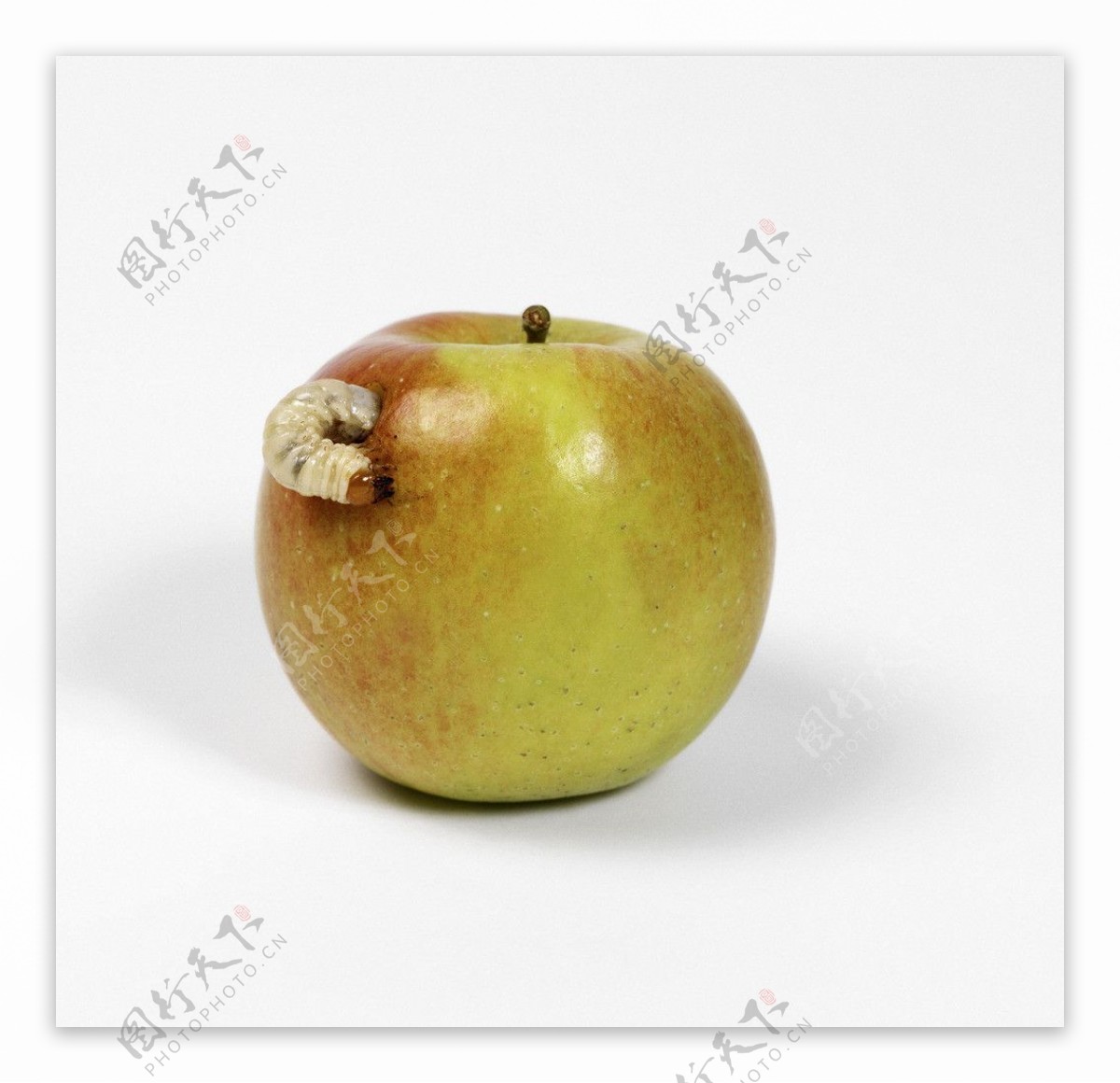 苹果烂苹果图片