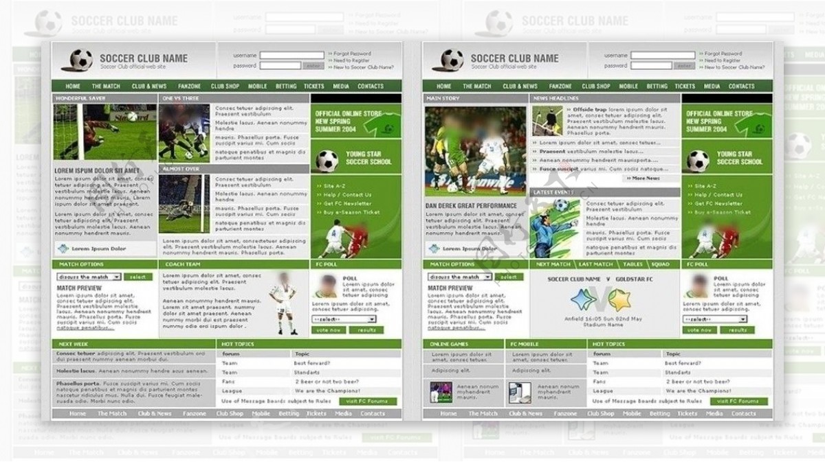 欧美足球运动网页图片