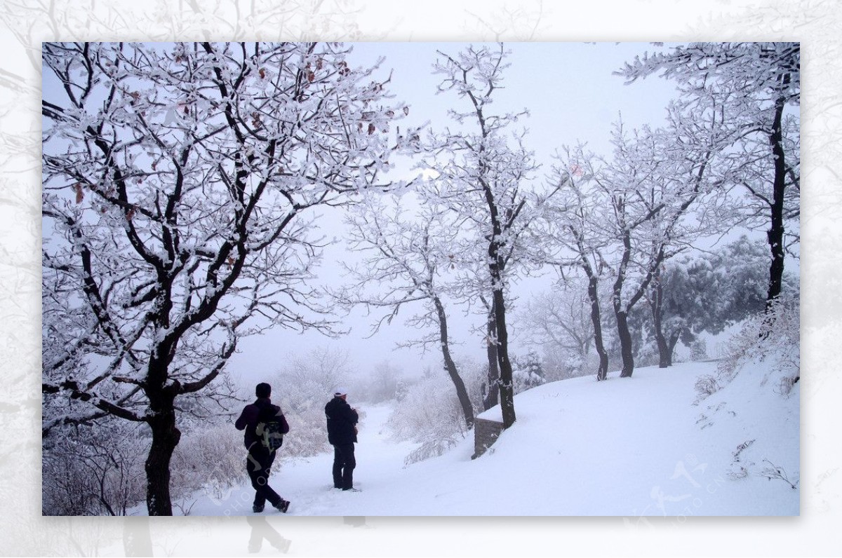 渑池韶山雪景图片