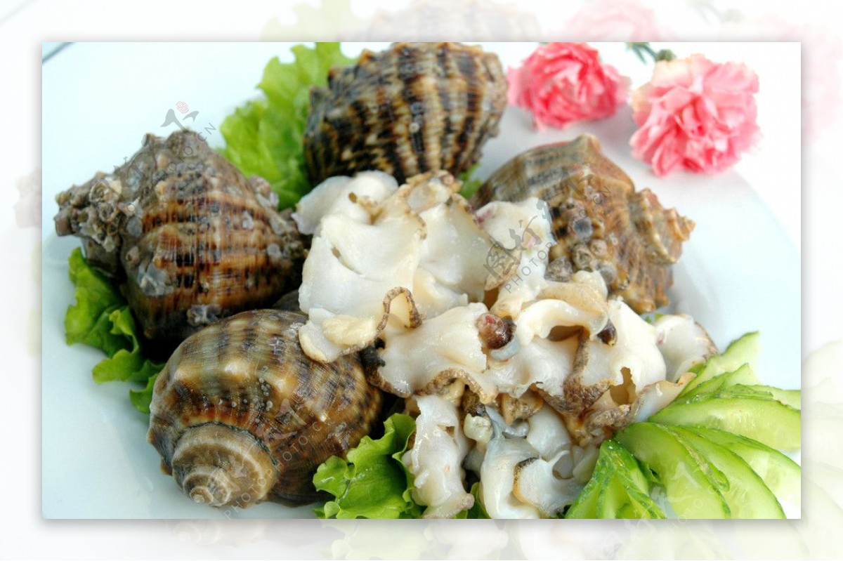 煮海螺怎么做_煮海螺的做法_家和万事兴顺顺顺_豆果美食