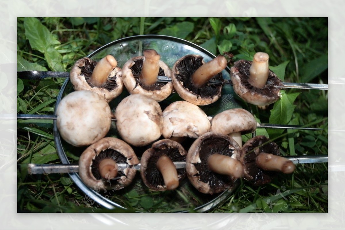 烧烤蘑菇串图片