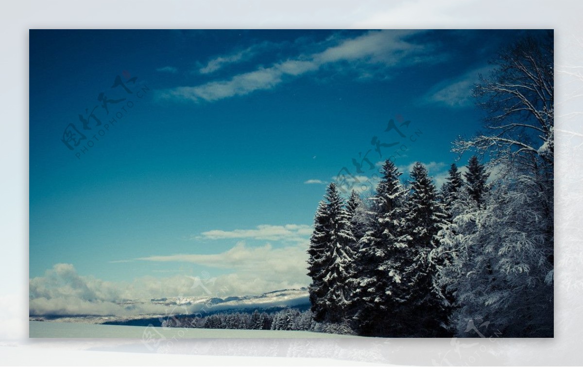 冬天风景雪景图片