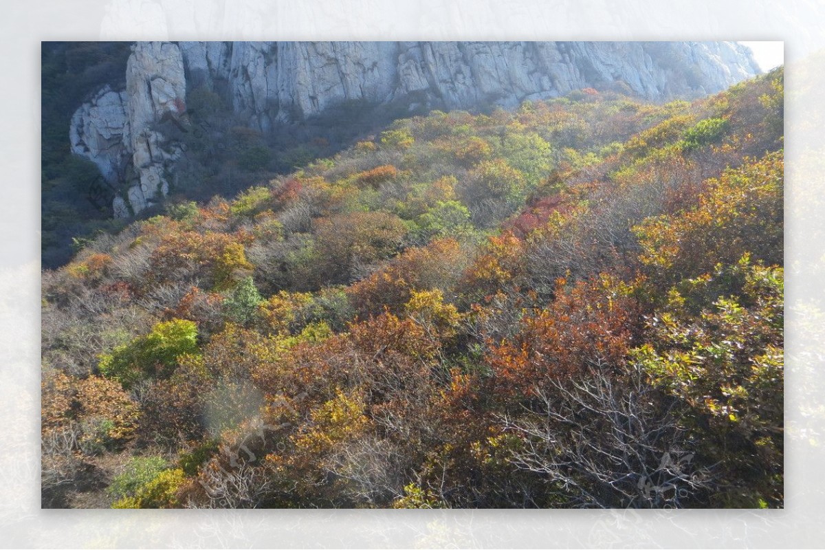 少室山秋色图片