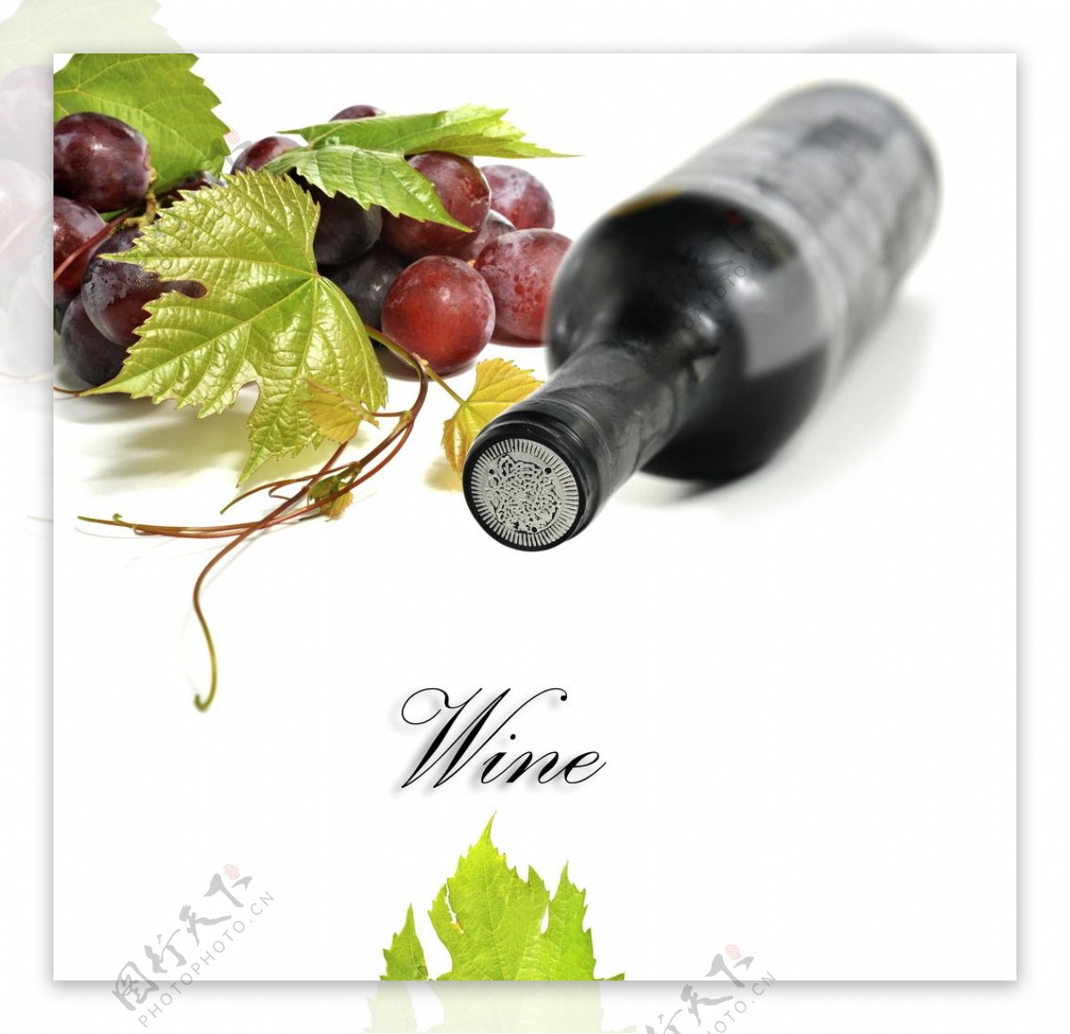 葡萄美酒图片