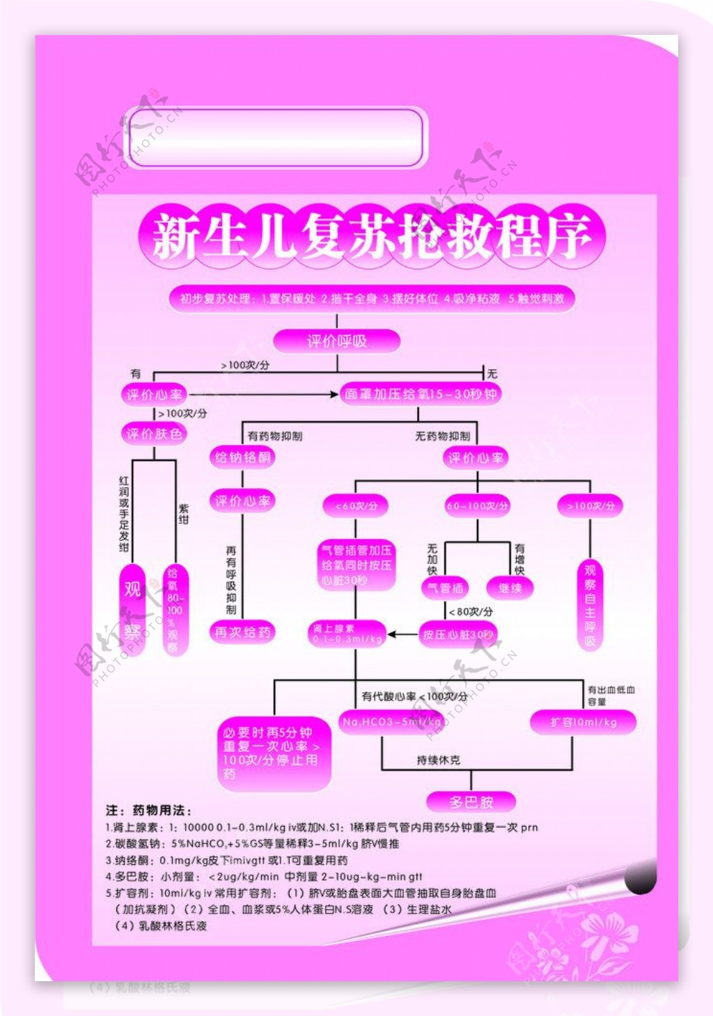 新生儿复苏抢救程序图片