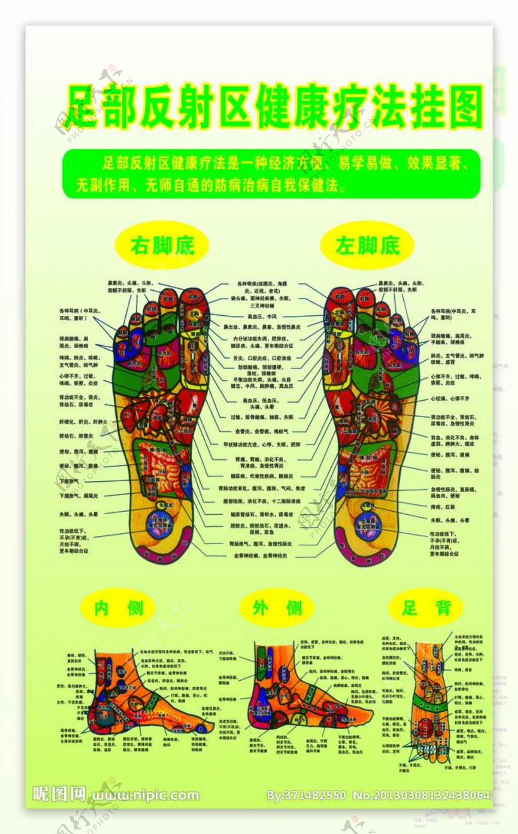 足部反射区健康疗法图图片
